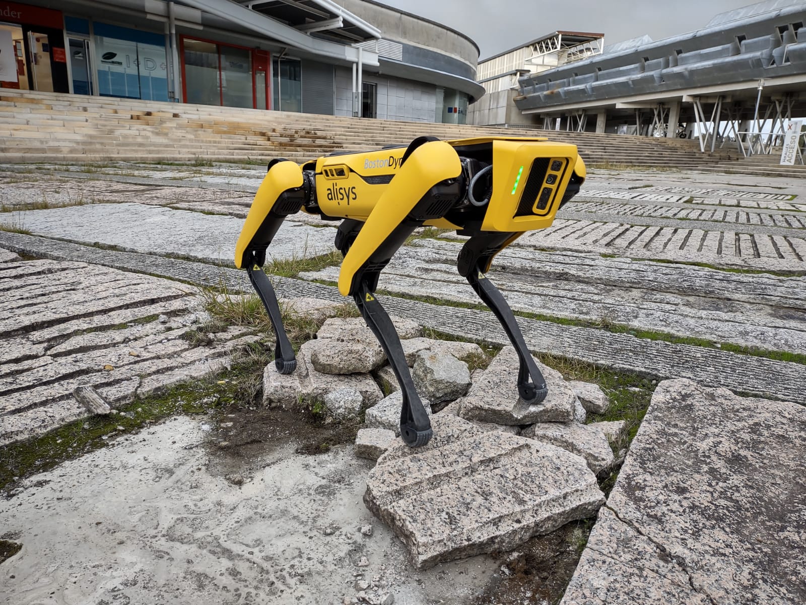 Spot, el robot cuadrúpedo más avanzado del mundo, llega a España