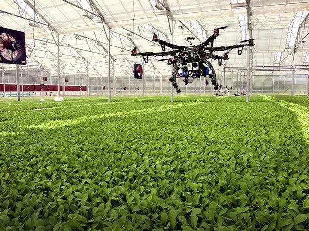 Ventajas del Big Data y la visión artificial en los procesos agroalimentarios