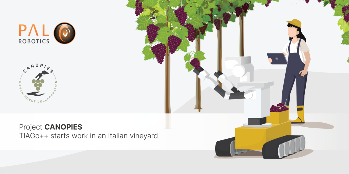 Proyecto CANOPIES: TIAGo++ comienza a trabajar en un viñedo italiano