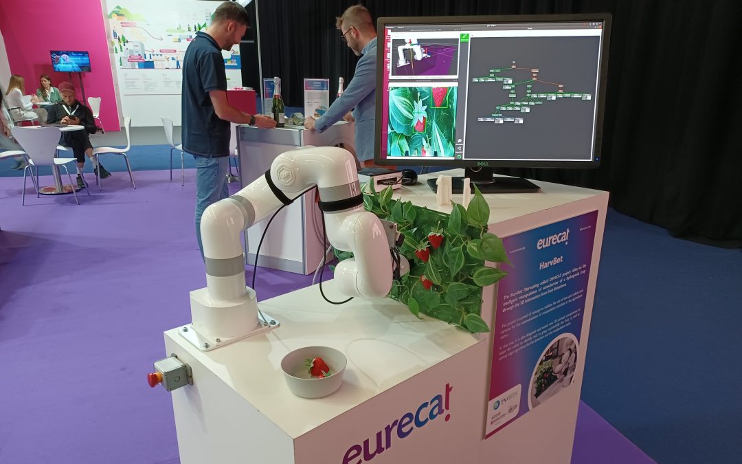 Exploran el uso de robots colaborativos para la manipulación inteligente de la fruta
