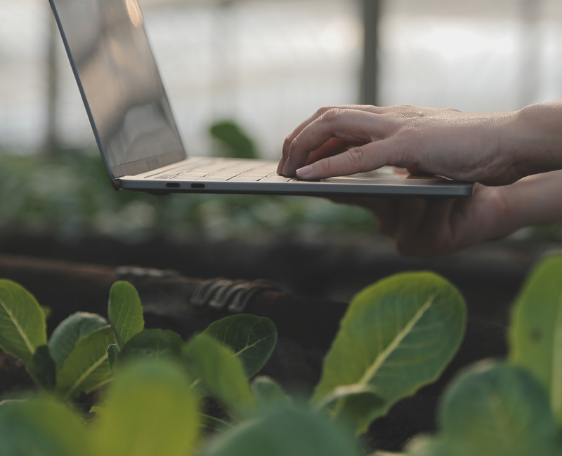 Las tecnologías basadas en datos e IA, clave para optimizar la gestión del sector agropecuario