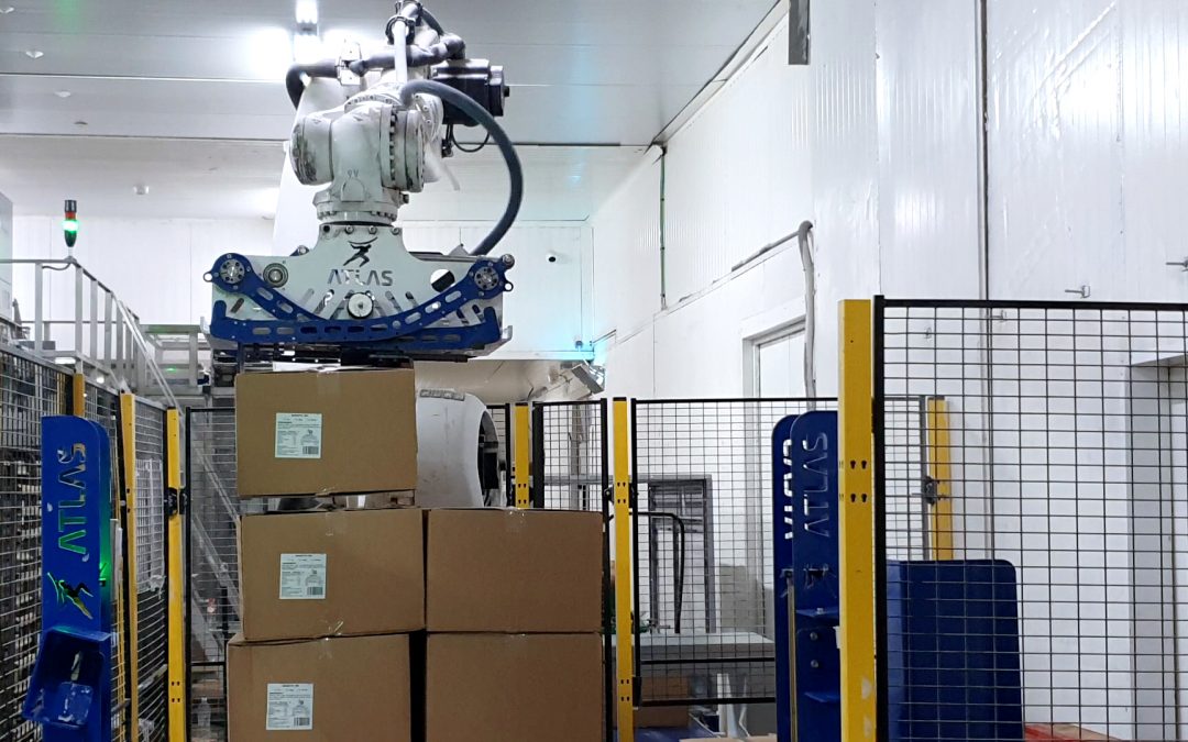 La robótica de Atlas Robots al alcance de todos: una tecnología para la gente común