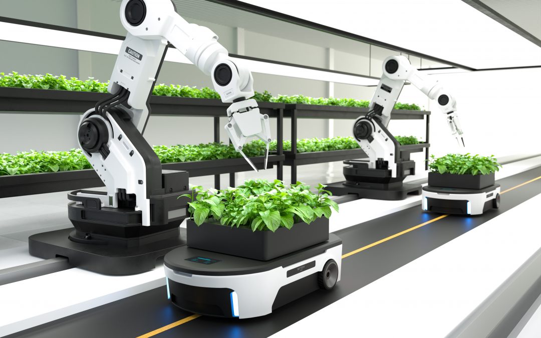 Optimización energética en la gestión de flotas de robots autónomos