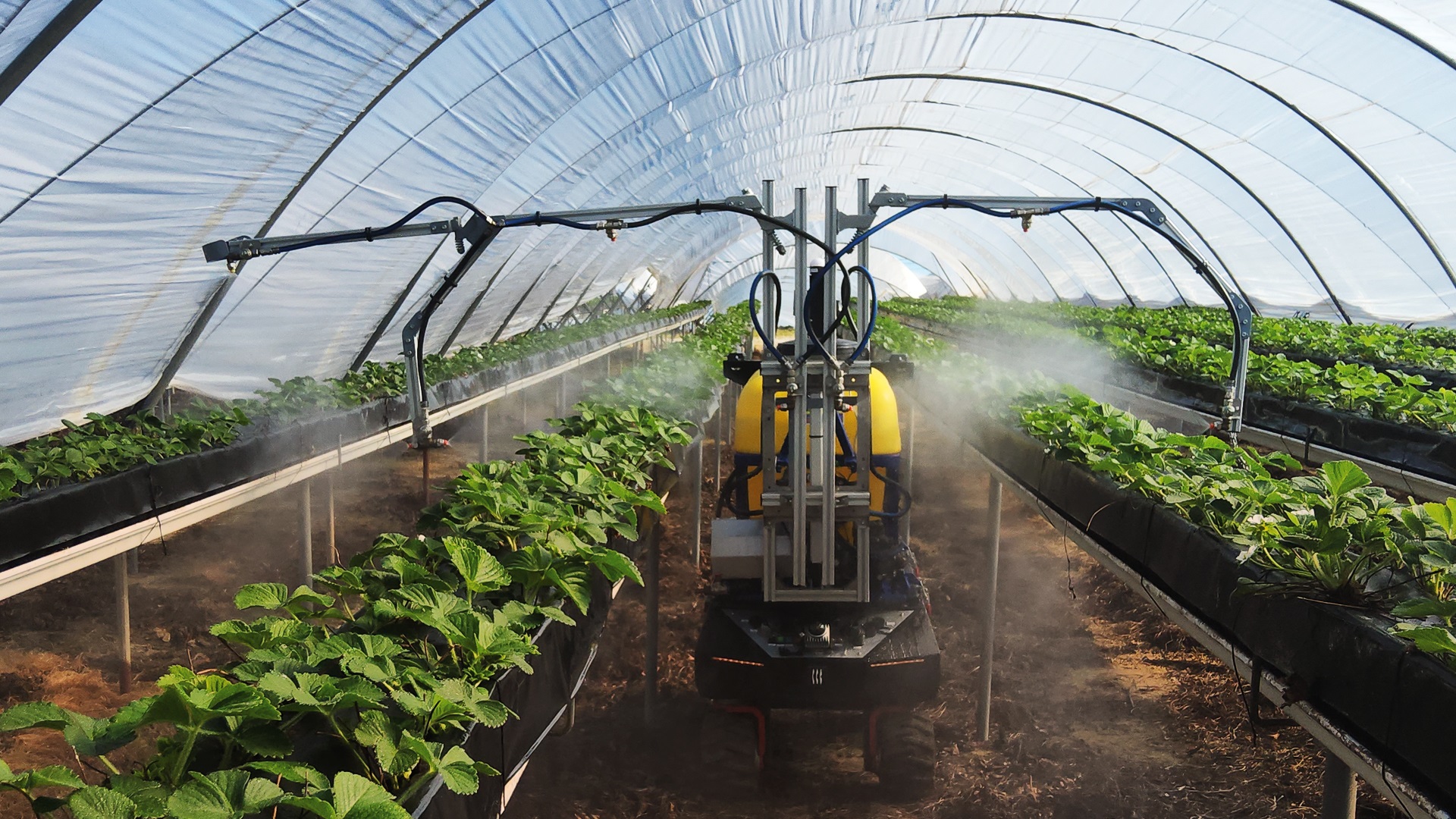 GeoEntec Environment Technologies gana el premio al “Proyecto del Año” en la Nit de la Robòtica por su plataforma robótica autónoma ROVAG desarrollada con Eurecat para la aplicación de tratamientos fitosanitarios en cultivos